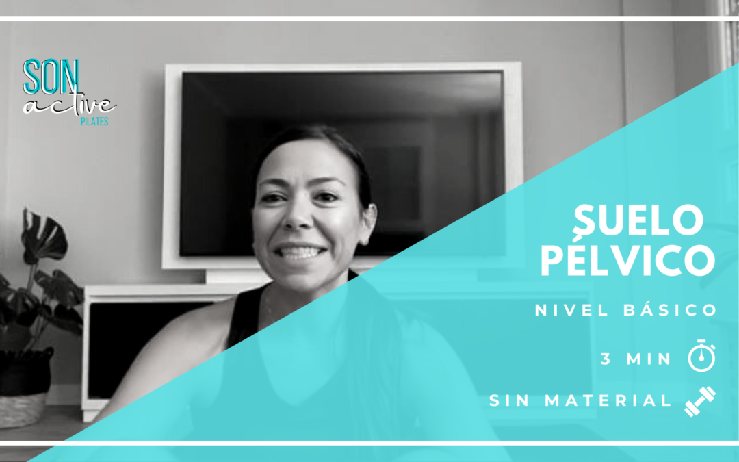 Suelo pélvico – Transverso abdominal