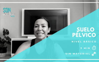 Suelo pélvico – Transverso abdominal